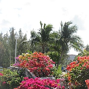 Picture 198